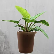 QUALY 綠洲免澆水花器L-圓(咖啡)