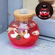 【迎光】幸福球藻-海底世界(紅)