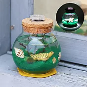 【迎光】幸福球藻-海底世界(綠)