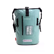 Dry Tank D2 25L 雙肩背包翡翠綠