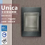 法國Schneider Unica Top全綵智慧門鈴開關 (金屬灰外框)