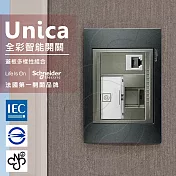 法國Schneider Unica Top埋入式資訊網路/電話插座 (金屬灰外框)