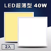 LED超薄型40W導光板/面板燈/輕鋼架燈/天花板燈/平板燈(60x60cm)2入 6000K白光