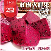 預購【家購網嚴選】屏東紅肉火龍果 5斤x2盒 特大(約5-6顆/盒)