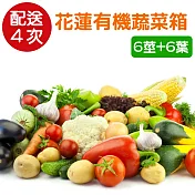 產地直送,新鮮到家!【樂品食尚】[健康宅配]花蓮有機蔬菜箱(配送4次)