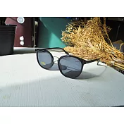 2is StanD太陽眼鏡│雙樑橢圓框│黑色鏡片│抗UV400