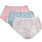 【黛安芬】柔棉生理褲包 三件組 M-EL(素粉/藍花/條紋)M三件包