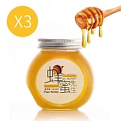 【U】Mr. HONEY 蜂蜜先生 - 台灣純蜂蜜-荔枝花3入組