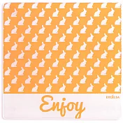 《EXCELSA》方玻璃隔熱墊(橘兔18cm)