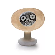 Magis X Iittala 跨界聯名 Palturi 璃光鳥 LED 燈