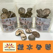 【亞源泉】埔里高山椴木香菇 80g (椴木香菇有柄捲彎形) 包$550