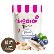 寶寶米餅：藍莓四入組【韓國 Ssalgwaja 米餅村】