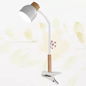 【天光】馬可夾燈(USB供電+兩色可選) 白色