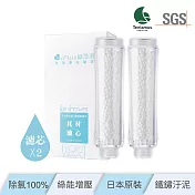 【極淨源】ION SHOWER沐浴淨水器專用濾芯/2入組(瞬間除氯100%)