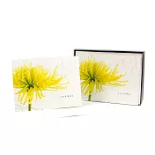 盒卡-芬芳10入【Hallmark-卡片 無限感謝/多用途】