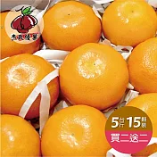 預購 買二送二《杰氏優果》茂谷柑平箱禮盒(25號)(15顆/約5台斤)