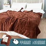 【eyah宜雅】法式馬卡龍雙面加厚法蘭絨羊羔絨毯-咖啡