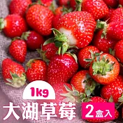 預購【家購網嚴選】鮮豔欲滴大湖香水草莓1公斤X2盒(1號果)