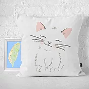 IHERMI 貓咪插畫B 抱枕套 45cm 台灣製