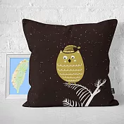 IHERMI 貓頭鷹插畫A 抱枕套 45cm 台灣製