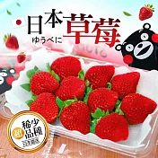 【優鮮配】季節限定-日本空運夢幻草莓1箱(500g/箱)免運組