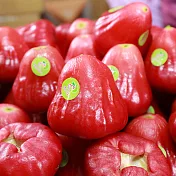 春節物販【佳冬鄉農會】透紅佳人優質蓮霧禮盒(2kg±10%)