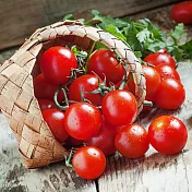 春節物販【台南鹽地】小蕃茄(4盒)