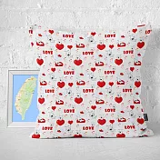 IHERMI LOVE 花紋A 抱枕套 45cm 台灣製