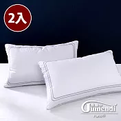 【喬曼帝Jumendi】時尚好眠／刺繡高彈支撐枕(2入)