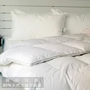 【LITA麗塔】5x7單人羽絨被90/10優質天然