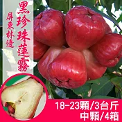 【產地直送】正宗屏東林邊黑珍珠蓮霧3斤X4箱(中顆/18-23粒/箱)