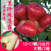 【產地直送】正宗屏東林邊黑珍珠蓮霧3斤X2箱(大顆/12-17粒/箱)