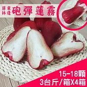 【產地直送】屏東林邊砲彈蓮霧3台斤X4箱(15-18粒/箱)