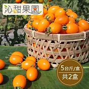 預購《沁甜果園SSN》錦珠番茄5斤/盒,(共2盒)