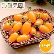 預購《沁甜果園SSN》橙蜜香小番茄(5斤/盒)