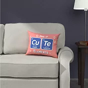 【賽先生科學工廠】可愛化學元素雙面抱枕