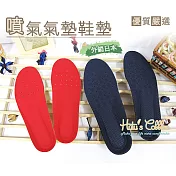 糊塗鞋匠 優質鞋材 C10 台灣製造 噴氣氣墊鞋墊(2雙) 男款29cm