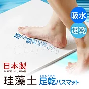 【日本藤原境內版】日本製 珪藻土 足乾樂 超速吸水地墊 乾燥快超吸水墊(55x43x0.9cm)-L(日本建材級)
