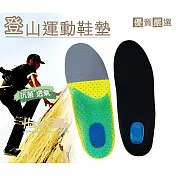 糊塗鞋匠 優質鞋材 C81 登山運動鞋墊(2雙) 男款28cm