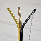 【DESTINO STYLE】日本ROCCO 3色不鏽鋼環保吸管組(附清潔刷)