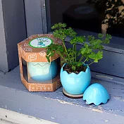 【迎光】Yummy!鮮採蛋植栽-藍