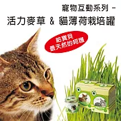 寵物天然野菜園三入組合