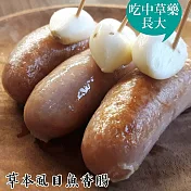 預購《台江漁人港》草本虱目魚香腸(450g/包，共二包)