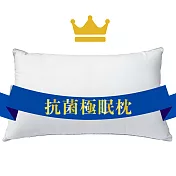 【EverSoft 雲柔】抗菌極眠枕