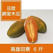 【一籃子】高雄田寮【日陞網室木瓜】6斤