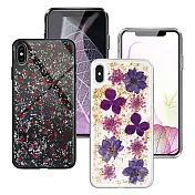 CITYBOSS for iPhone XsMax 繽紛星夜全包防滑保護殼-金色飛燕 碎紅 兩款任選金色飛燕