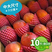 現貨【優鮮配】產地直送愛文芒果10斤裝(16-20顆/箱)免運組