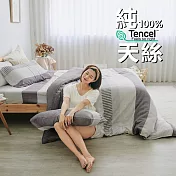 《BUHO》100%TENCEL純天絲™床包枕套組-單人 《拾雅語注》