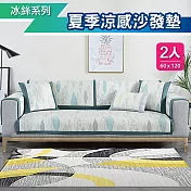 【巴芙洛】四季清涼冰絲防滑坐墊2人60*120cm 藍綠