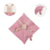 【安垛小姐】法國 Moulin Roty 歡樂家庭_ 兔子安撫巾